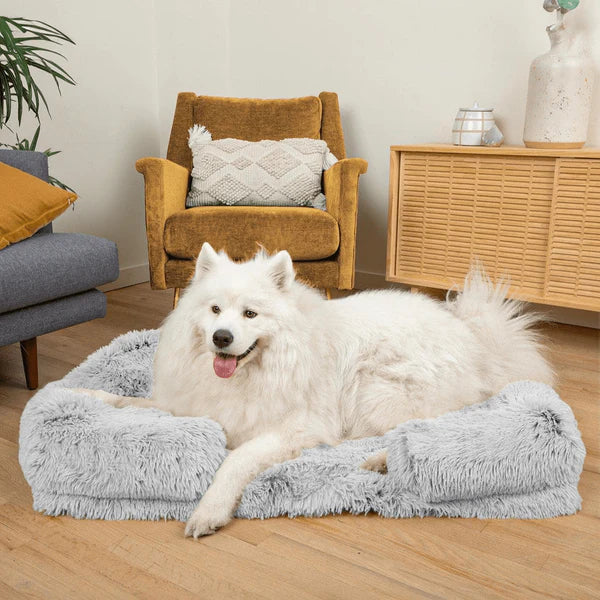 Orthopedic cushion - DoggyDream™